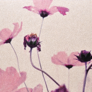 星幻紙380um±20um